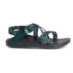 Chaco Women's Z/Cloud X -Active Wear Shop JCH107986