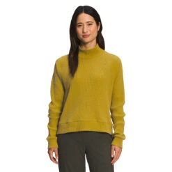 The North Face Women's Long-Sleeve Mock Neck Chabot -Active Wear Shop NF0A5GMZ 76S hero
