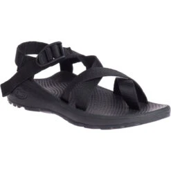 Chaco Women's Z/Cloud 2 -Active Wear Shop W Zcloud 2 J107364W Solid Black d7e0e6a5 e481 46d2 934b 3d1469a62d69